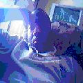 Photo - 1