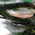 Photo - 4