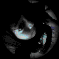 Photo - 1