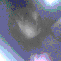 Photo - 5
