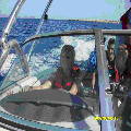 Photo - 6