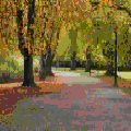 Photo - 10