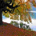 Photo - 2