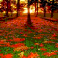 Photo - 5