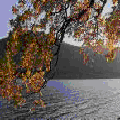 Photo - 6