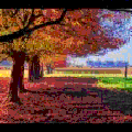 Photo - 7