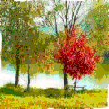 Photo - 8