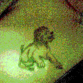 Photo - 8