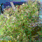 Photo - 7