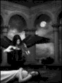 Photo - 5