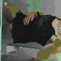 Photo - 4
