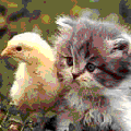 Photo - 7