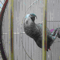Photo - 6