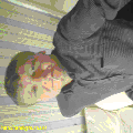 Photo - 1