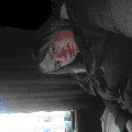 Photo - 4