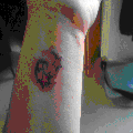 Photo - 6