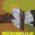 Photo - 6