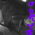 Photo - 8