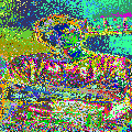 Photo - 1