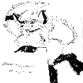 Photo - 10