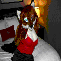 Photo - 3