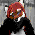 Photo - 4