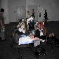 Photo - 5