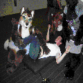 Photo - 6