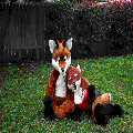 Photo - 7