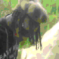 Photo - 4