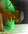 Photo - 3