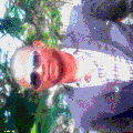 Photo - 1
