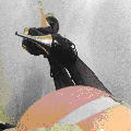 Photo - 6