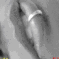 Photo - 3