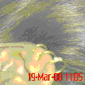 Photo - 5