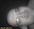 Photo - 1
