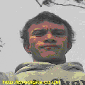Photo - 3