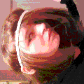 Photo - 1