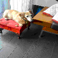 Photo - 8