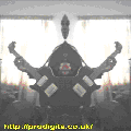 Photo - 1