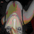 Photo - 4