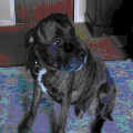 Photo - 9