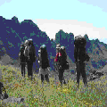 Photo - 2