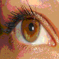 Photo - 3